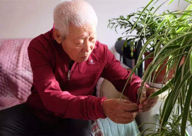 betway·必威西汉姆联(有限公司)官方网站-West Ham United